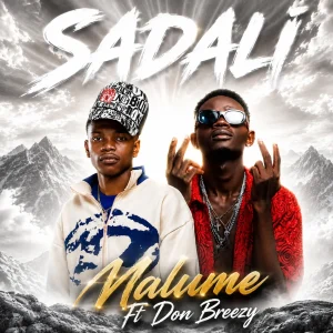 Malume Ft Don Breezy - Sadali