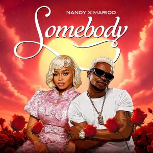 Nandy Ft Marioo - Somebody