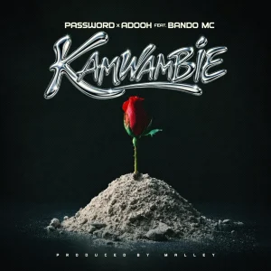 Password Ft Bando Mc & Adooh - Kamwambie