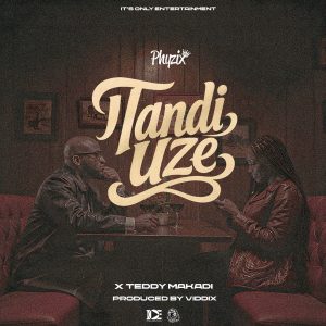 Phyzix Ft Teddy Makadi - Tandiuze
