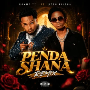 Rommy Tz Ft Dogo Elisha - Penda Shana (Remix)