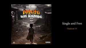 Nikki Mbishi - Single And Free