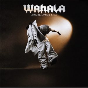 GeniusJini x66 - Wahala